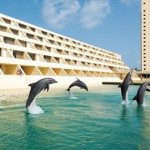 Hyatt Ziva Cancun Dolphins