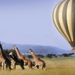 Serengeti-Ballooning